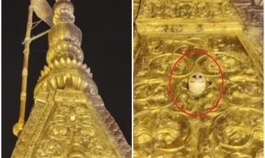 काशी में बाबा विश्वनाथ के मंदिर पर सफेद उल्लू, भविष्यवाणी से हिले रूस-अमेरिका