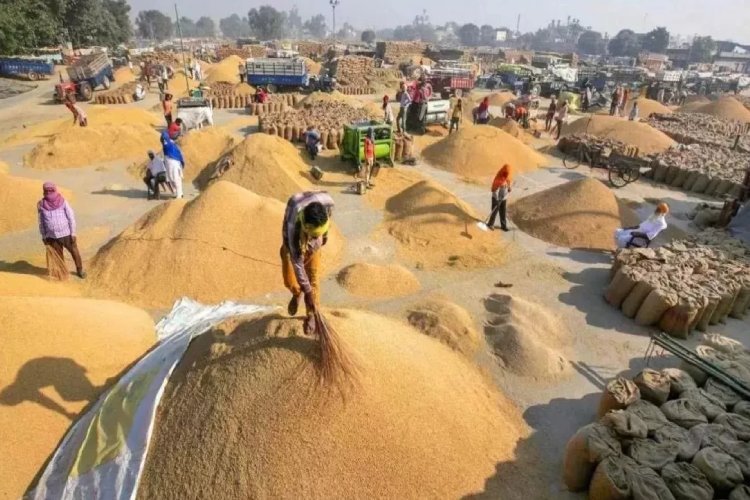 पैक्स के जरिए कैसे बदल रही बिहार के गांवों की तस्वीर? सहकारिता मंत्री डॉ. प्रेम कुमार ने दी जानकारी