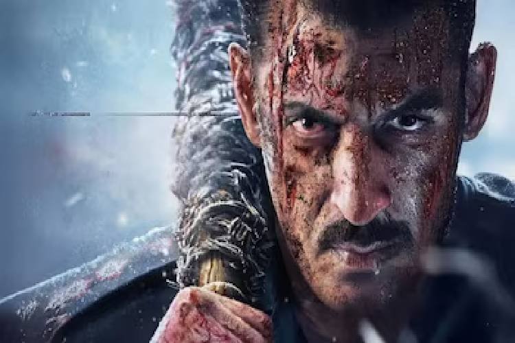 सलमान खान की फिल्म 'बैटल ऑफ गलवान' की शूटिंग रद्द, तोड़ा गया सेट, मगर क्यों?