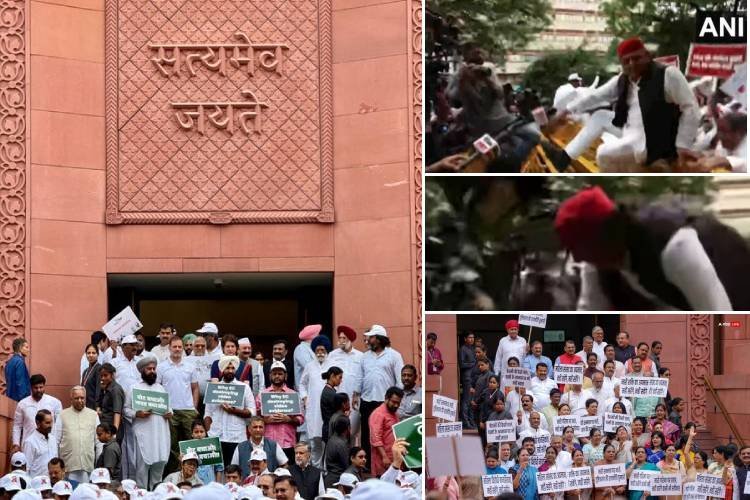 संसद मानसून सत्र LIVE: मार्च निकाल रहे राहुल-प्रियंका सहित कई विपक्षी सांसदों को पुलिस ने लिया हिरासत में, बेहोश हुई टीएमसी सांसद