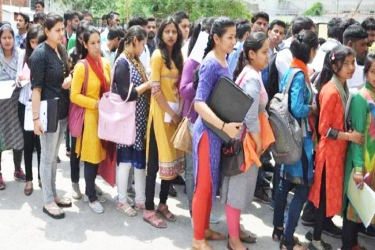 बिहार में सरकारी नौकरी की बहार, इस वर्ष SSC से 12 हजार 543 अलग-अलग पदों पर होगी बहाली