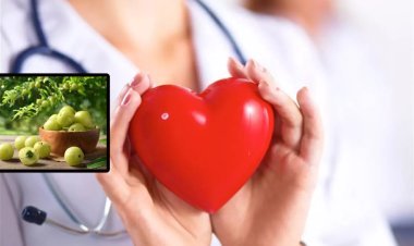 यदि कोलेस्ट्रॉल की है समस्या, तो जरूर खाएं यह भारतीय फल, दिल रहेगा तंदुरुस्त, मन रहेगा स्वस्थ...