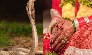 गला घोंटने पर भी नहीं मरी तो ससुराल वालों ने जहरीले सांप के साथ बहू को कमरे में बंद किया