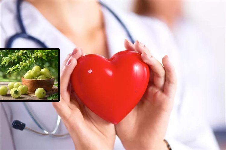 यदि कोलेस्ट्रॉल की है समस्या, तो जरूर खाएं यह भारतीय फल, दिल रहेगा तंदुरुस्त, मन रहेगा स्वस्थ...