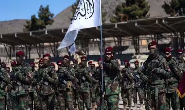 तालिबान का दावा: सीमा पर संघर्ष में 58 पाकिस्तानी सैनिक मारे गए, कड़ी चेतावनी जारी