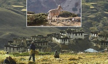 भारत का कोल्ड डेजर्ट बायोस्फीयर रिजर्व: यूनेस्को की सूची में नया गौरव