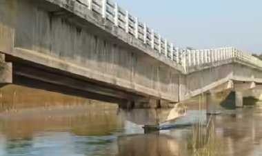 बिहार चुनाव के बीच अररिया में ढहा 4 करोड़ रुपए का पुल, 2019 में हुआ था निर्माण