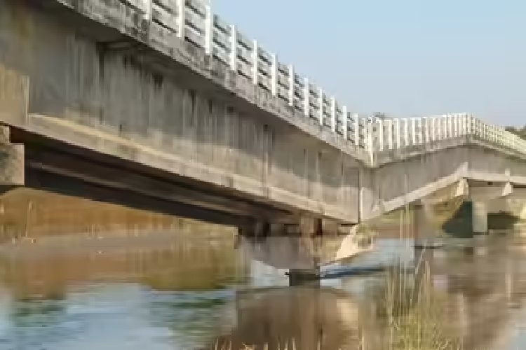 बिहार चुनाव के बीच अररिया में ढहा 4 करोड़ रुपए का पुल, 2019 में हुआ था निर्माण