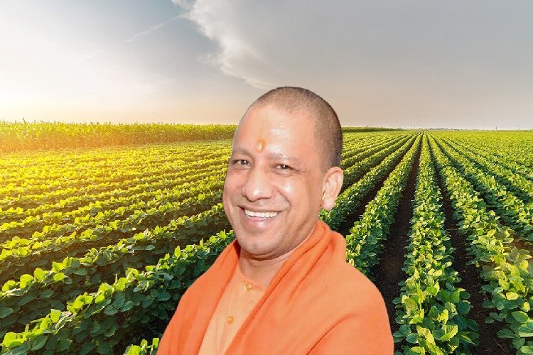 बीज से बाजार तक: योगी सरकार के कृषि मॉडल से अन्नदाता खुशहाल, बिचौलिए खत्म होने से किसानों को प्रत्यक्ष लाभ