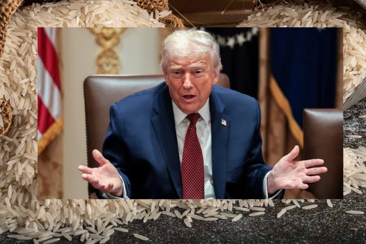 अब भारतीय चावल पर टैरिफ लगाने की तैयारी में ट्रंप, क्या होगा असर?