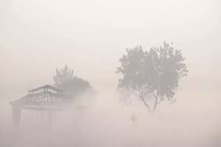 26, 27 और 28 दिसंबर को बारिश की चेतावनी; पंजाब, हरियाणा, उत्तर प्रदेश और दिल्ली में कोहरे का कहर! 