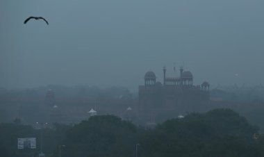 दिल्ली में इस सीज़न की सबसे ठंडी सुबह, तापमान 3 डिग्री, पंजाब-हरियाणा में रेड अलर्ट