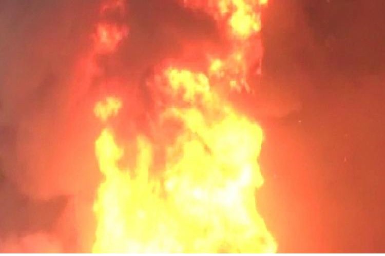 बंगाल के सिलीगुड़ी SDO ऑफिस में लगी भीषण आग, SIR से जुड़े दस्तावेज जलकर खाक, साजिश की आशंका