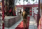 चोर मंदिर में घुसे, देवी के सामने प्रार्थना की, फिर दान पेटियां लेकर फरार