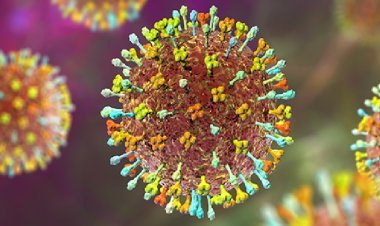 ऑस्ट्रेलिया, मलेशिया सहित इन देशों में Corona से भी खतरनाक वायरस का आतंक, भारत भी अछूता नहीं!