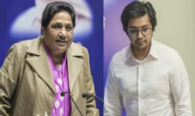 विधानसभा चुनावों को लेकर मायावती का बड़ा दांव, भतीजे आकाश के ससुर और वरिष्ठ नेता नौशाद को दी बड़ी जिम्मेदारी