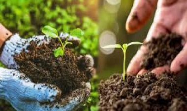 नेचुरल फॉर्मिंग हब बन रहा यूपी, 298 करोड़ से और विस्तार करने की तैयारी में योगी सरकार 