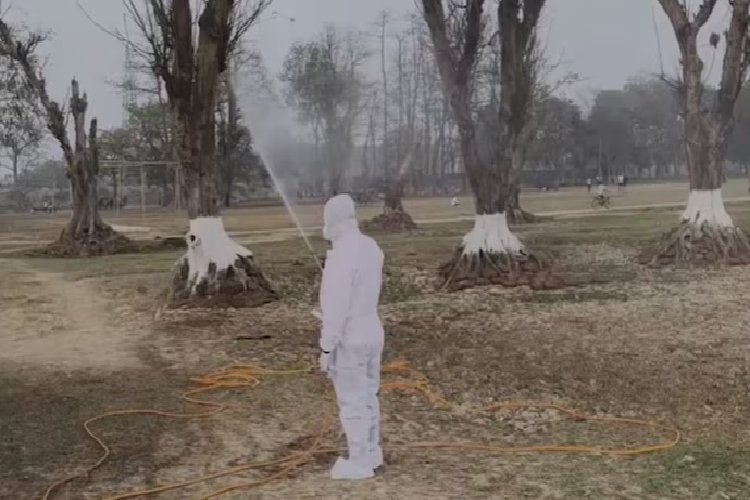 इश शहर में एक साथ 150 कौवों की मौत से हड़कंप, लोगों को किया गया अलर्ट