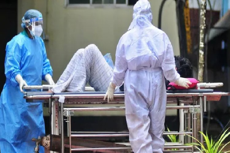 पश्चिम बंगाल में निपाह वायरस से पहली मौत के बाद हड़कंप, कई दिनों के इलाज के बाद नर्स ने तोड़ा दम