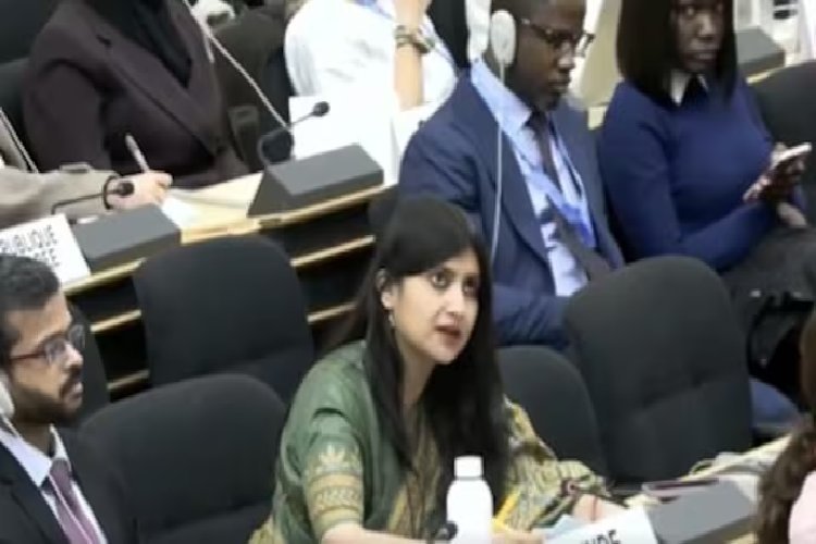 कश्मीर का बजट तुम्हारी IMF भीख से दोगुना... कौन हैं Anupama Singh  जिसने UN में पाकिस्तान और IOC की निकाल दी हेकड़ी