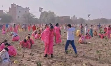 काशी का गौरवपूर्ण कीर्तिमान: एक घंटे में 2,51,446 पौधे रोपकर तोड़ा चीन का 8 साल पुराना विश्व रिकॉर्ड!