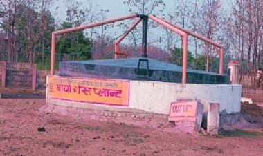 आईआईटियन को यूपी में दिखी अपार संभावनाएं, 300 गोशालाओं में लगाए जाएंगे बायोगैस का प्लांट