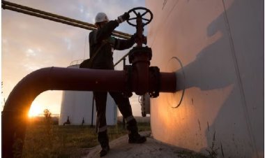 G7 देशों ने इमरजेंसी तेल स्टॉक जारी करने पर रोक लगाई, क्या है मायने?