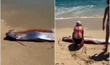 मिडिल ईस्ट में जंग के बीच मेक्सिको में दिखी प्रलयकारी मछली, क्या और ‘बड़ी मुसीबत’ आने वाली है?