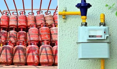 घरों में जहां PNG उपलब्ध है, वहां LPG बंद, सरकार की पाइप्ड गैस पर जोर
