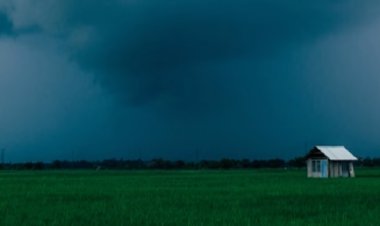 अगले 48 घंटे किसानों के लिए भारी, 70 की स्पीड से चलेगी हवा, 20 राज्यों में भारी बारिश, ओलावृष्टि-वज्रपात की बड़ी चेतावनी