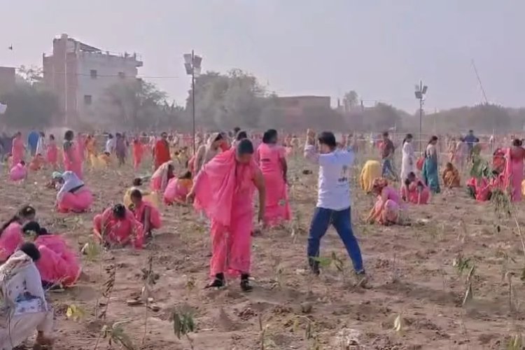काशी का गौरवपूर्ण कीर्तिमान: एक घंटे में 2,51,446 पौधे रोपकर तोड़ा चीन का 8 साल पुराना विश्व रिकॉर्ड!