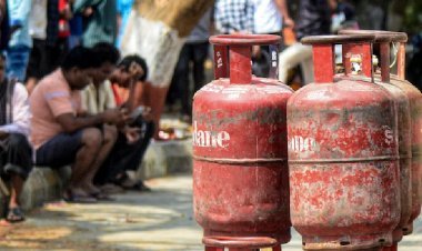 व्यावसायिक एलपीजी की कीमत में Rs 195.5 की बढ़ोतरी, मिनी सिलेंडर के दाम Rs 51 बढ़े