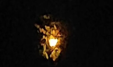 रायबरेली में रहस्यमयी चमकती रोशनी: क्या यह शेषनाग की नागमणि है?