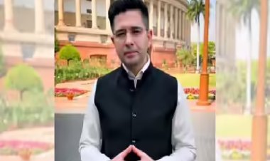 'मुझे चुप करा दिया गया है, लेकिन मैं हारा नहीं हूं'- डिप्टी लीडर पद हटने के बाद राघव चड्ढा का संदेश