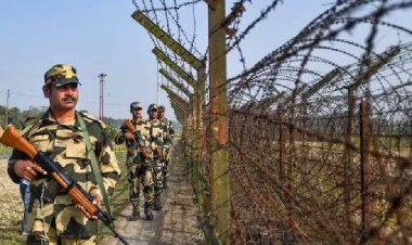 BSF बांग्लादेश बॉर्डर पर छोड़ने जा रहा सांप और मगरमच्छ? जानिए क्या है प्लान?