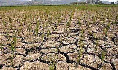 कमजोर मानसून की आशंका, मौसम विभाग ने दी चेतावनी