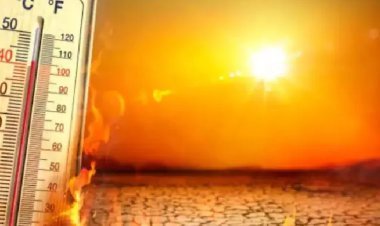 दिल्ली-एनसीआर में गर्मी का कहर तेज, 42 डिग्री तक पहुंचेगा पारा!