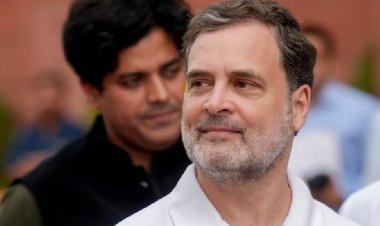 राजनीतिक फायदे के लिए कोर्ट का इस्तेमाल? इलाहाबाद हाईकोर्ट ने भाजपा कार्यकर्ता को लगाई फटकार