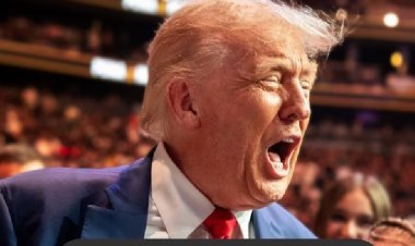 ट्रंप ने भारत-चीन को 'नर्क के गड्ढे' बताया, जन्म-आधारित नागरिकता पर बोला 'धोखा'