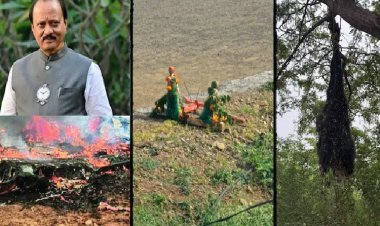 रात में अघोरी पूजा: अजित पवार की मौत पर 'काला जादू' का दावा, घर के बाहर पेड़ से लटकी मिली मरी हुई काली बकरी!