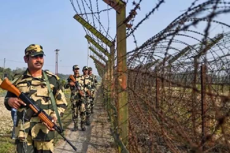 BSF बांग्लादेश बॉर्डर पर छोड़ने जा रहा सांप और मगरमच्छ? जानिए क्या है प्लान?