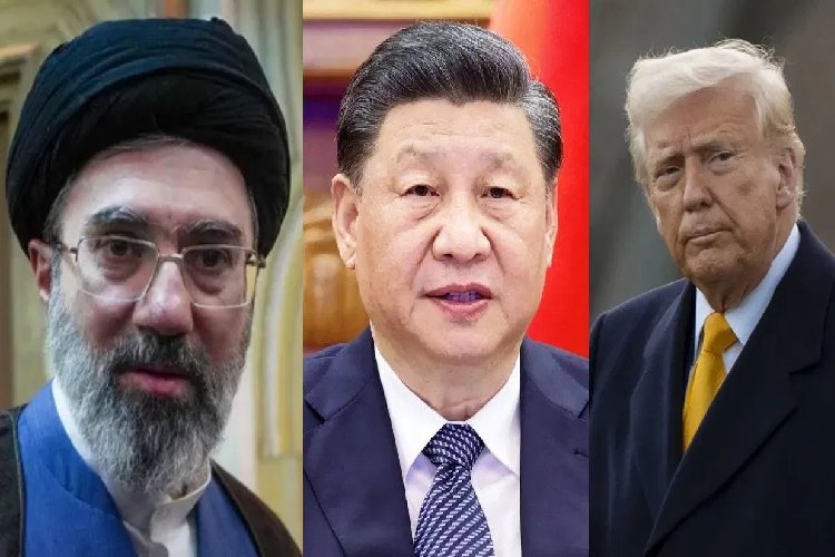 पाकिस्तान पहुंचा भोपाल का गिद्ध, 7 दिनों में तय की 1274 किलोमीटर की दूरी