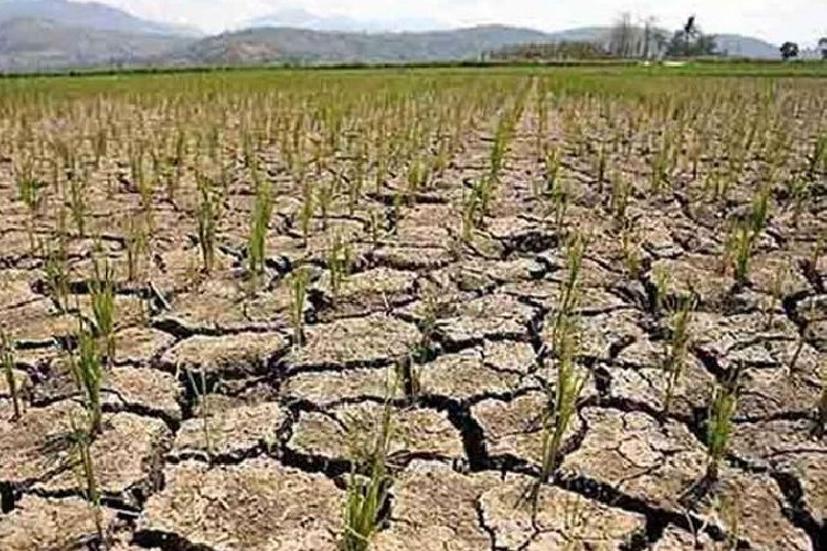 कमजोर मानसून की आशंका, मौसम विभाग ने दी चेतावनी