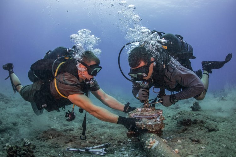 समुद्री केबलों की सुरक्षा वैश्विक प्राथमिकता, कटौती या समझौता वैश्विक अर्थव्यवस्था को दे सकता है झटका!