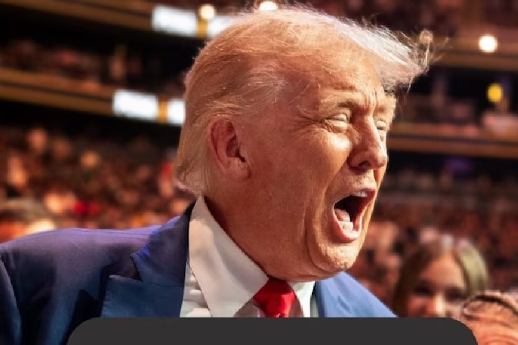 ट्रंप ने भारत-चीन को 'नर्क के गड्ढे' बताया, जन्म-आधारित नागरिकता पर बोला 'धोखा'