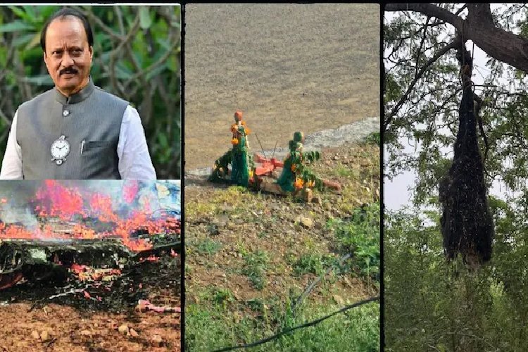 रात में अघोरी पूजा: अजित पवार की मौत पर 'काला जादू' का दावा, घर के बाहर पेड़ से लटकी मिली मरी हुई काली बकरी!
