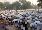सार्वजनिक जमीन पर नमाज अधिकार नहीं, इलाहाबाद हाईकोर्ट ने खारिज की याचिका