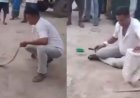 सांप से करतब दिखाते हुए मौत का शिकार बना शख्स, वीडियो हुआ वायरल