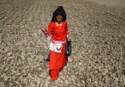 नेपाल में खाद संकट, मदद को आगे आया भारत, 80000 टन रासायनिक डील की चल रही बात