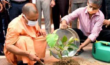 सर्वाधिक पौधरोपण से जलवायु परिवर्तन से जूझ रही दुनिया को रास्ता दिखाएगा यूपी